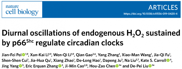 創工快報 66期 01