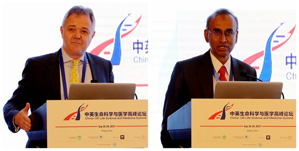 光影魔術手拼圖2