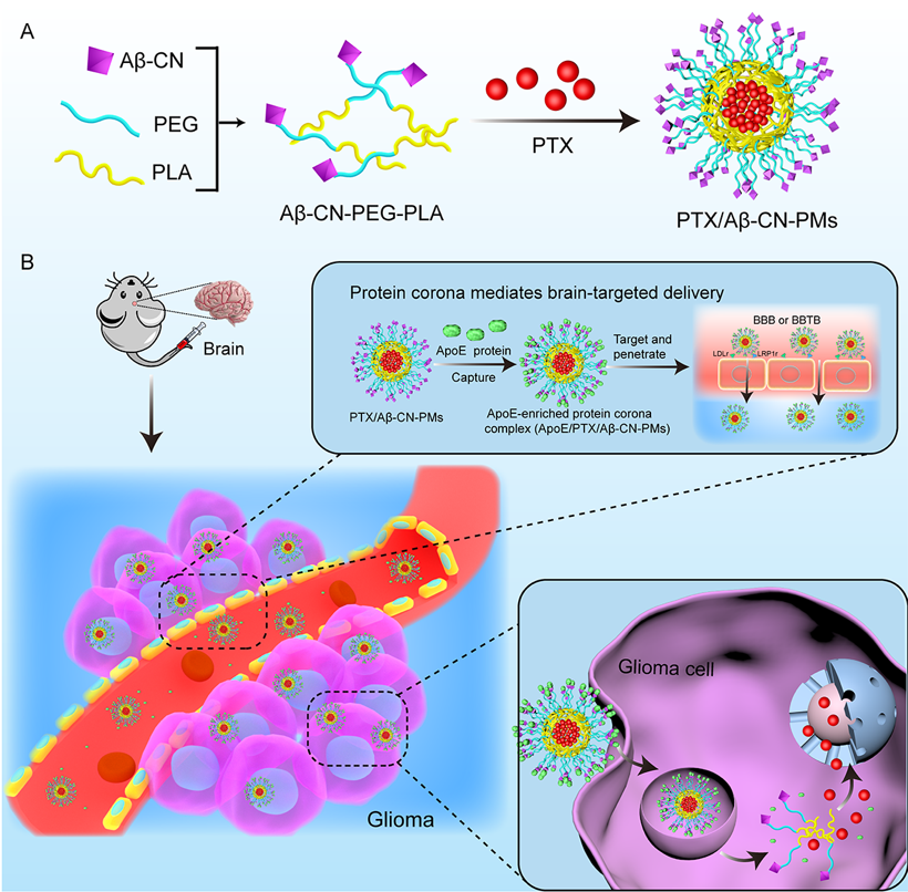 973b749b4edc4cc294a924488824d57f.png 973b749b4edc4cc294a924488824d57f.png