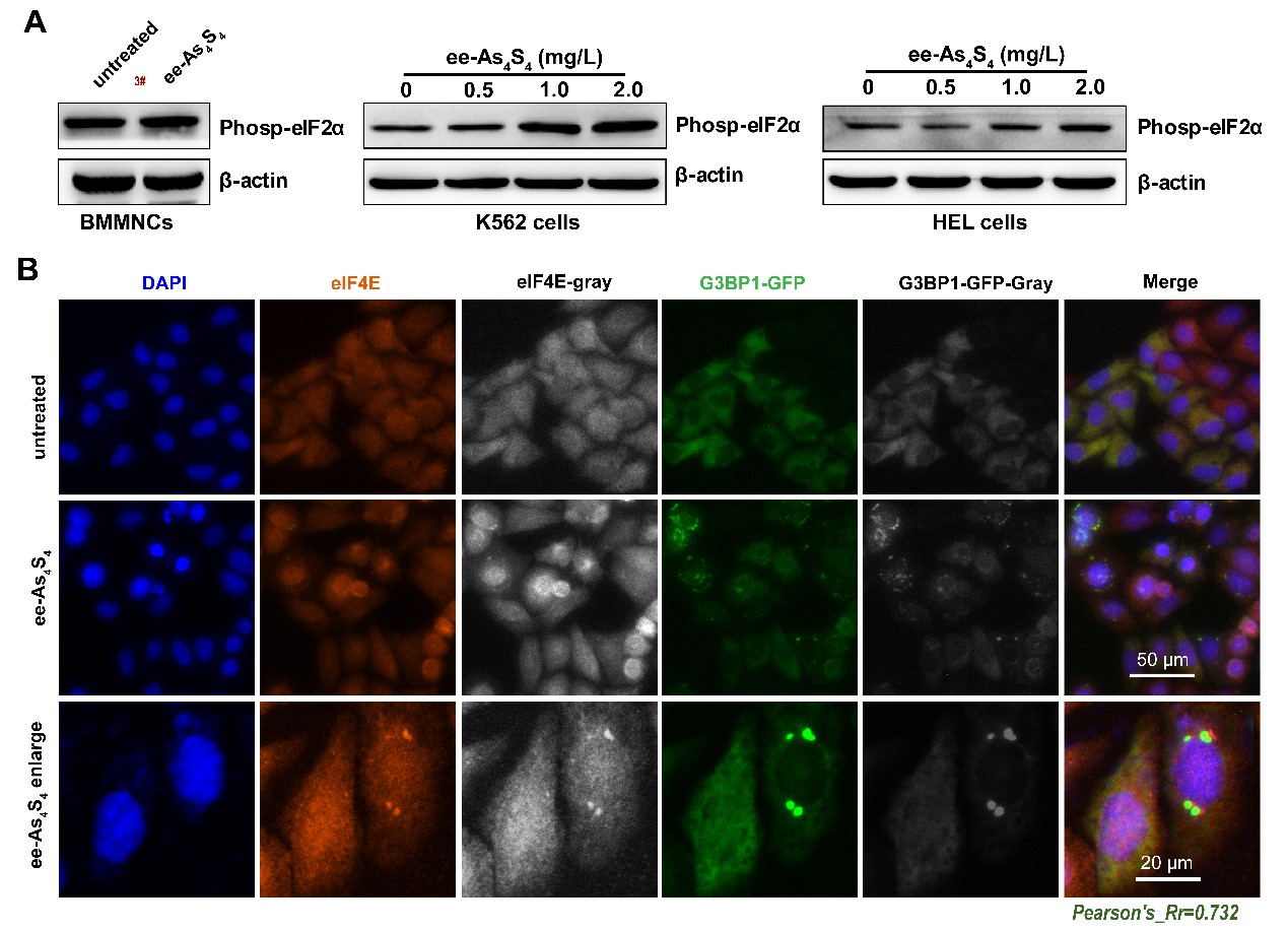 8d76ed5238314b20b5c5a32569ee2d73.jpg 圖2.jpg