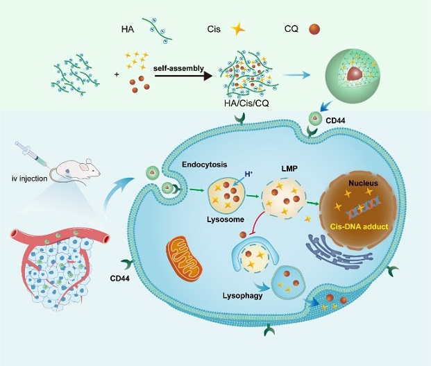 87bae7ef4699432788b1b9bbc4f8259a.jpg 圖2- 創(chuàng)新工程進(jìn)展快報第247期.jpg