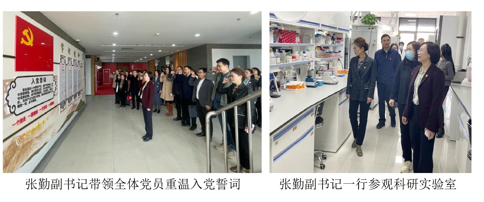 張勤副書記帶領(lǐng)全體黨員重溫入黨誓詞張勤副書記一行參觀科研實驗室.jpg