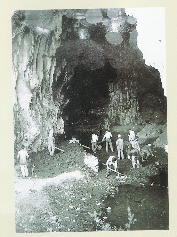 02 QQ圖片20190103083426