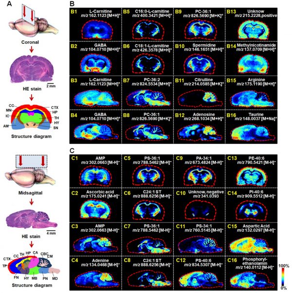 02-1 快報(bào) 第50期