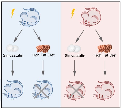 放射醫學研究所輻射損傷救治 01