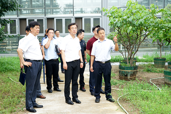 微信圖片_20180726114618