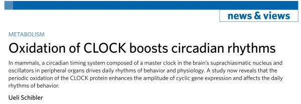創工快報 66期 03